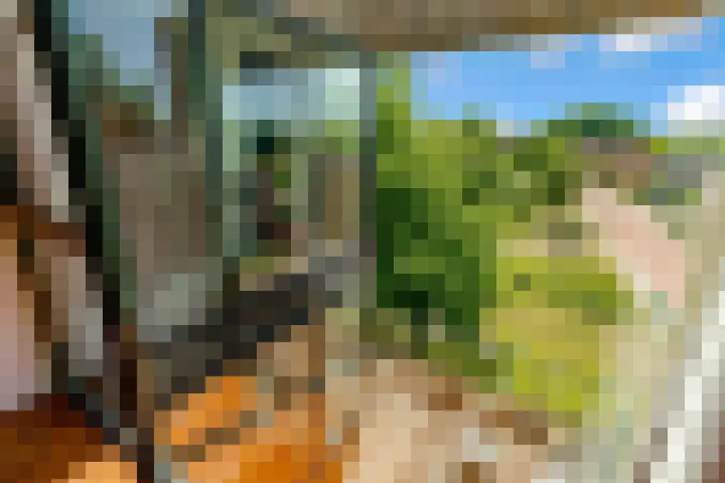 Duintop 11 Lelystad thumbnail 25