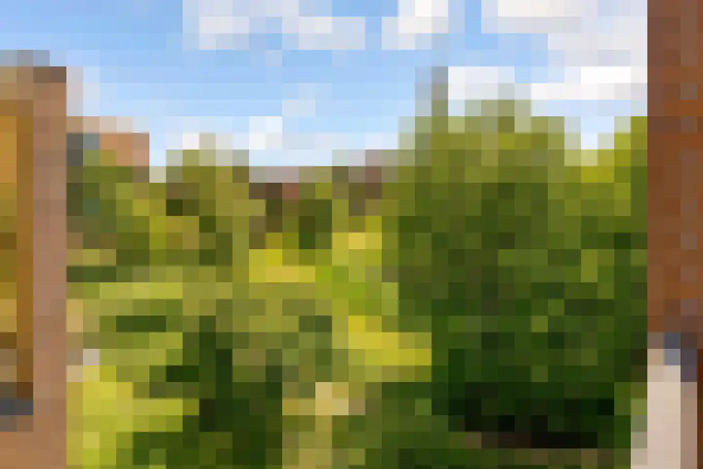 Duintop 11 Lelystad thumbnail 29