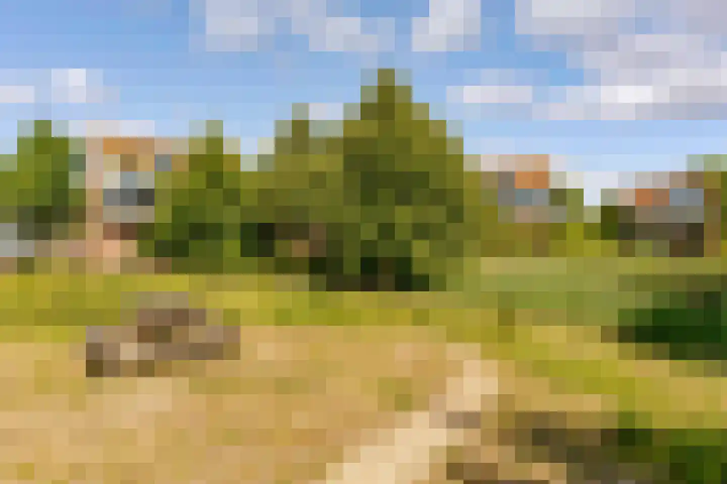 Duintop 11 Lelystad thumbnail 53