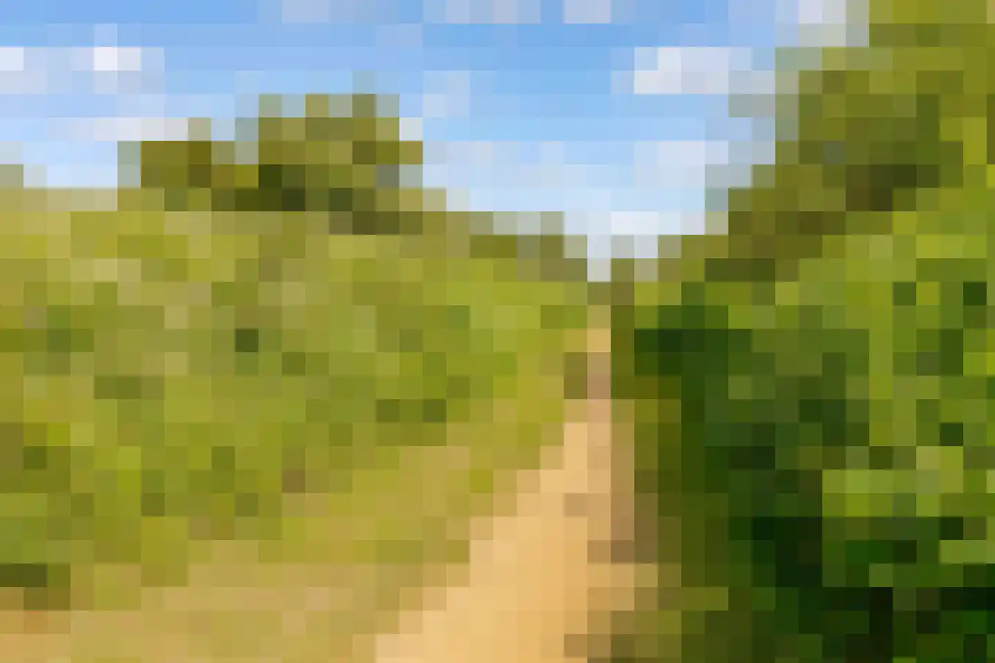 Duintop 11 Lelystad thumbnail 55