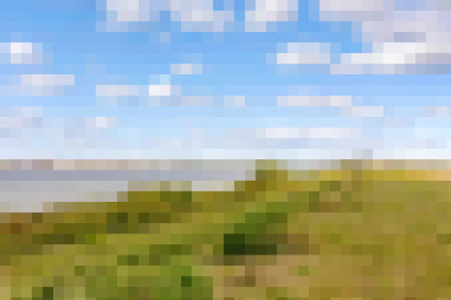 Duintop 11 Lelystad thumbnail 57
