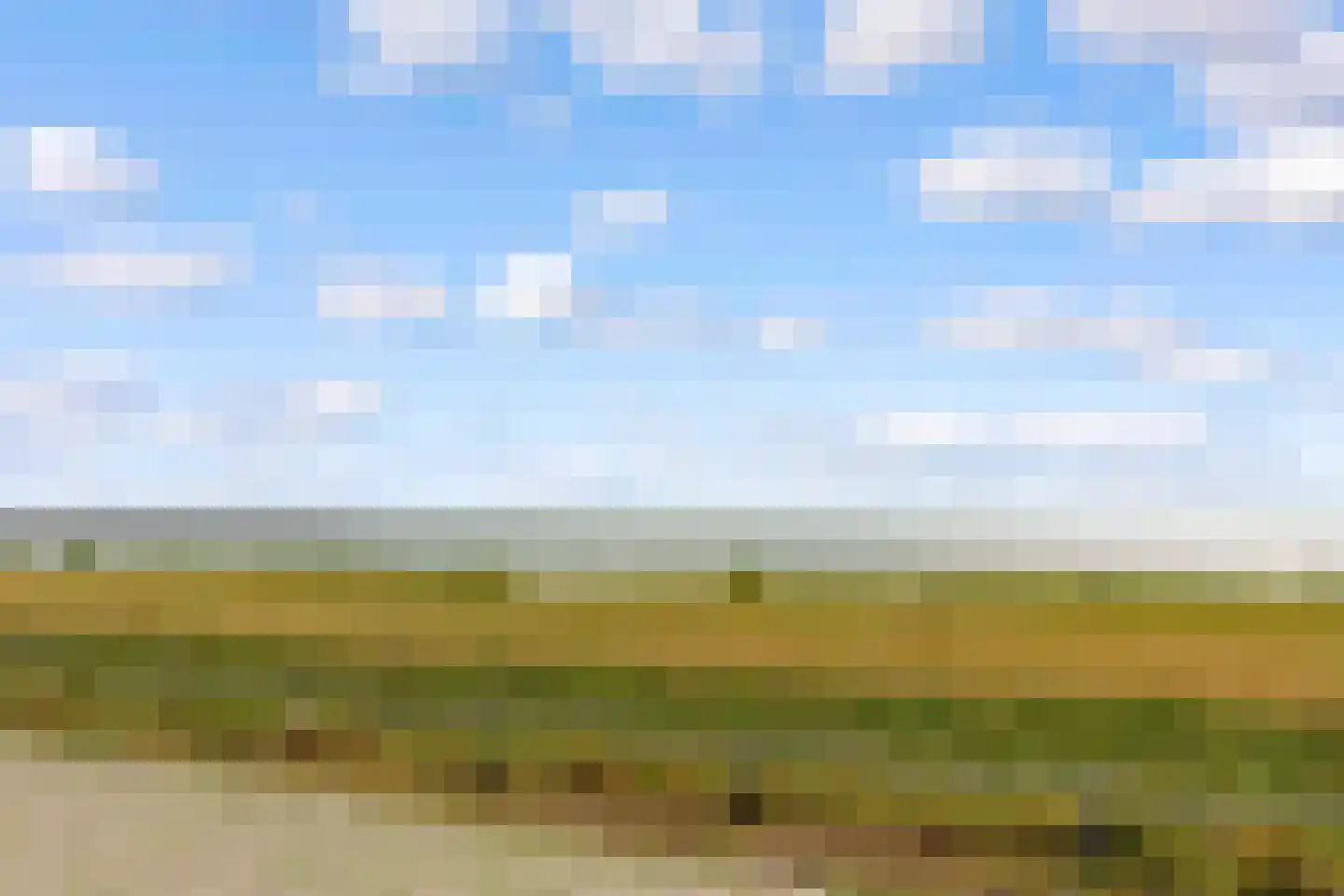 Duintop 11 Lelystad thumbnail 58