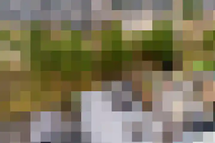Duintopstraat 28 Almere thumbnail 34