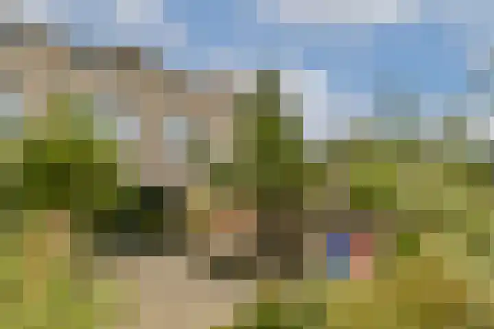 Duintopstraat 42 Almere thumbnail 18