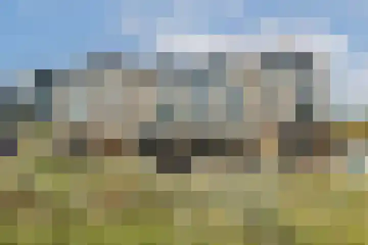 Duintopstraat 6 Almere thumbnail 15
