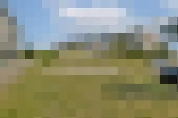 Duintopstraat 6 Almere thumbnail 39