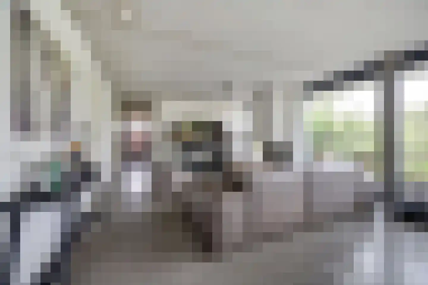 Duinvallei 15 Kamperland thumbnail 10