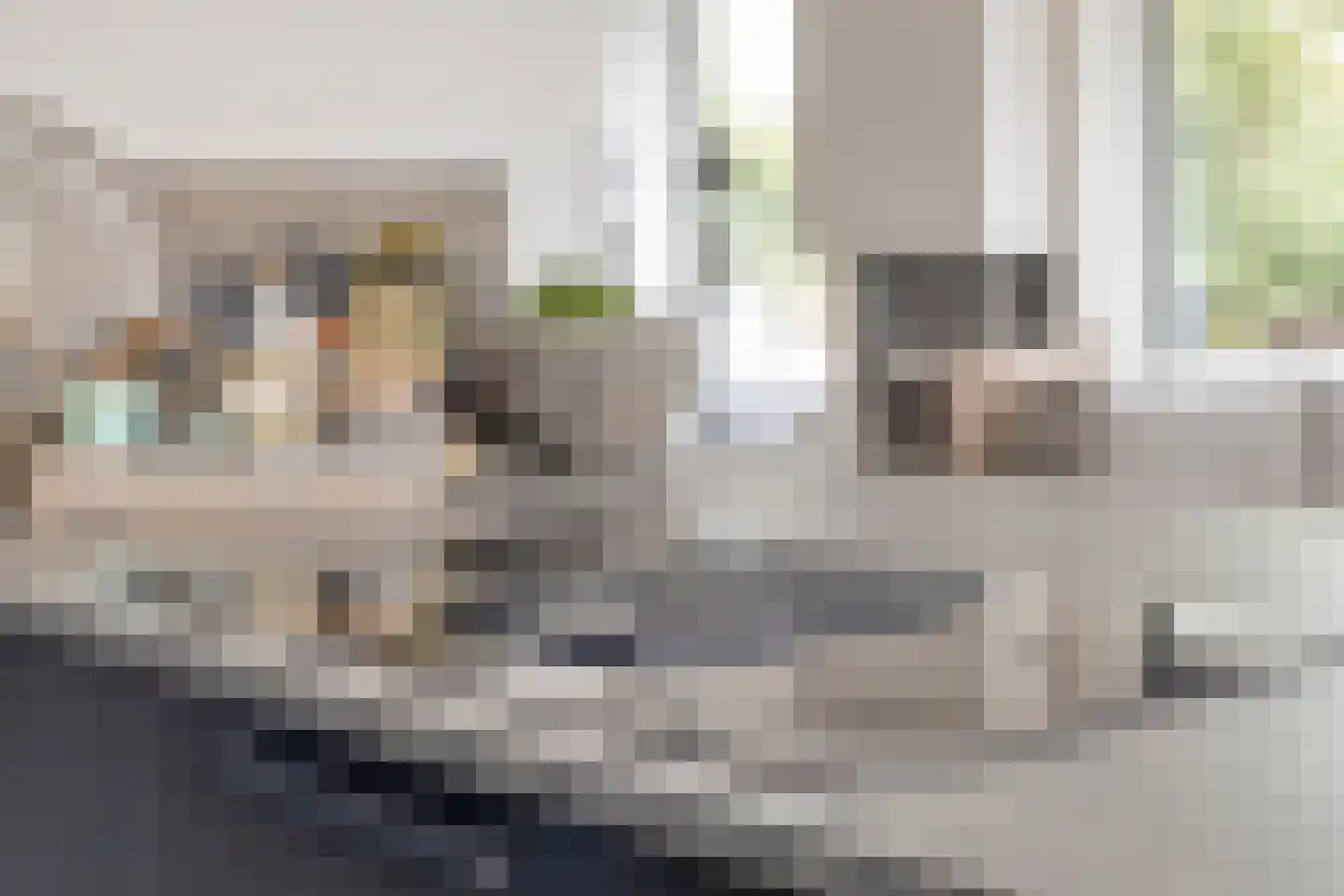 Duinvallei 15 Kamperland thumbnail 14
