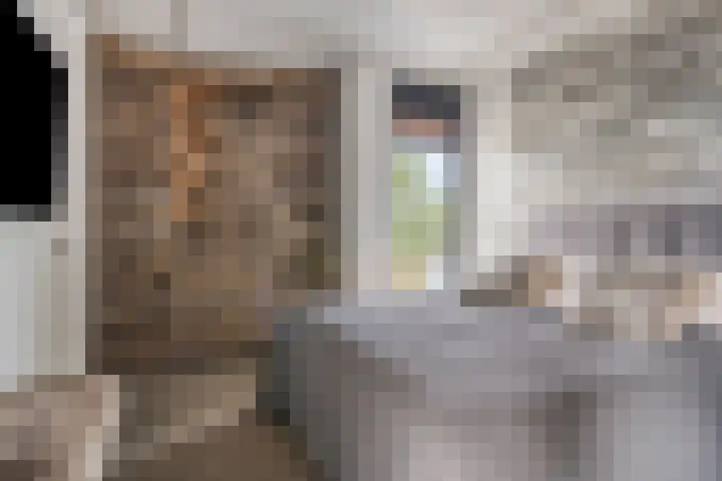 Duinvallei 15 Kamperland thumbnail 17