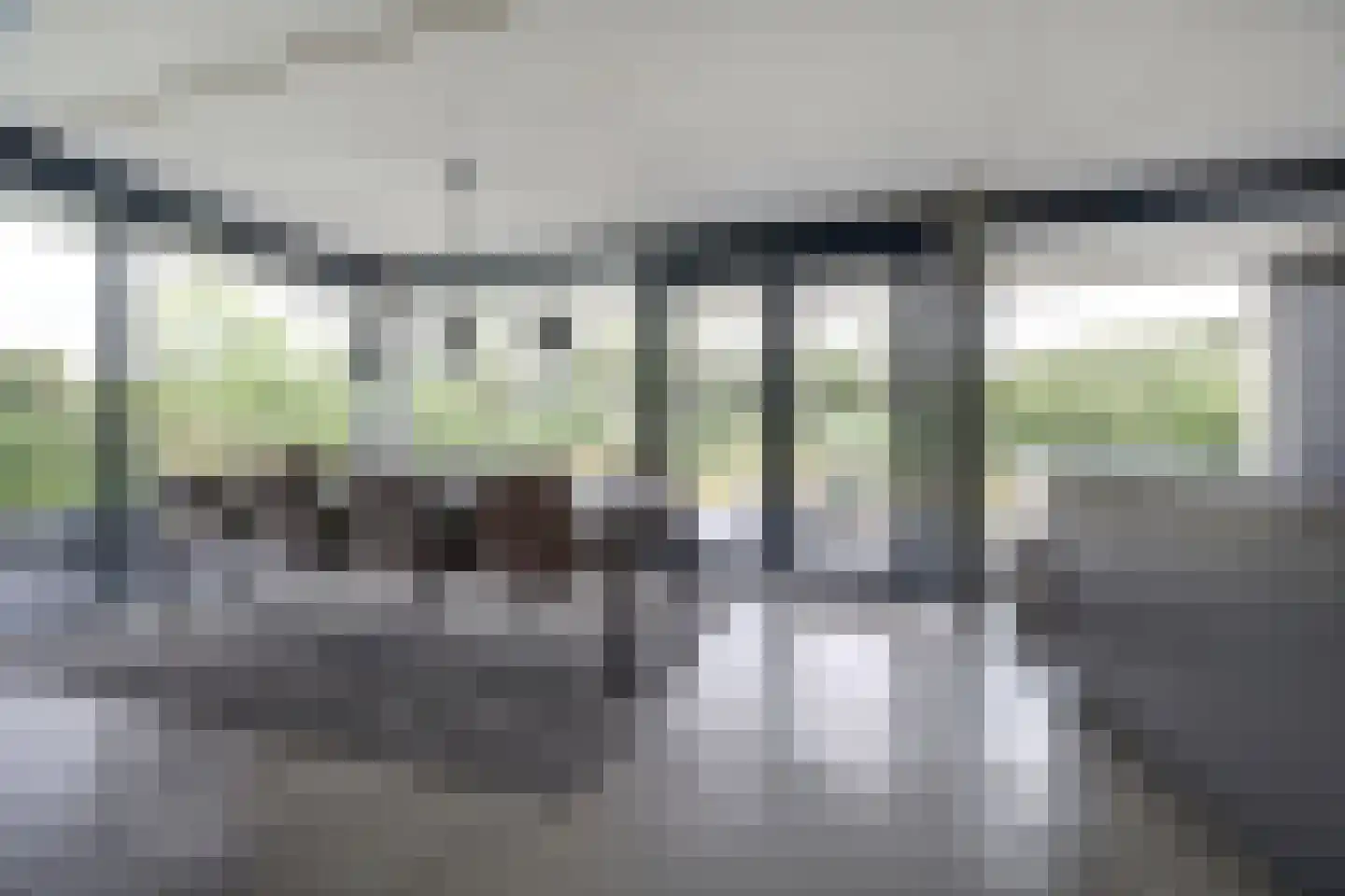 Duinvallei 15 Kamperland thumbnail 17