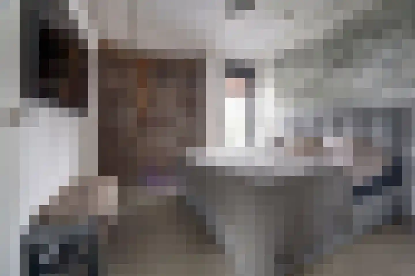 Duinvallei 15 Kamperland thumbnail 18
