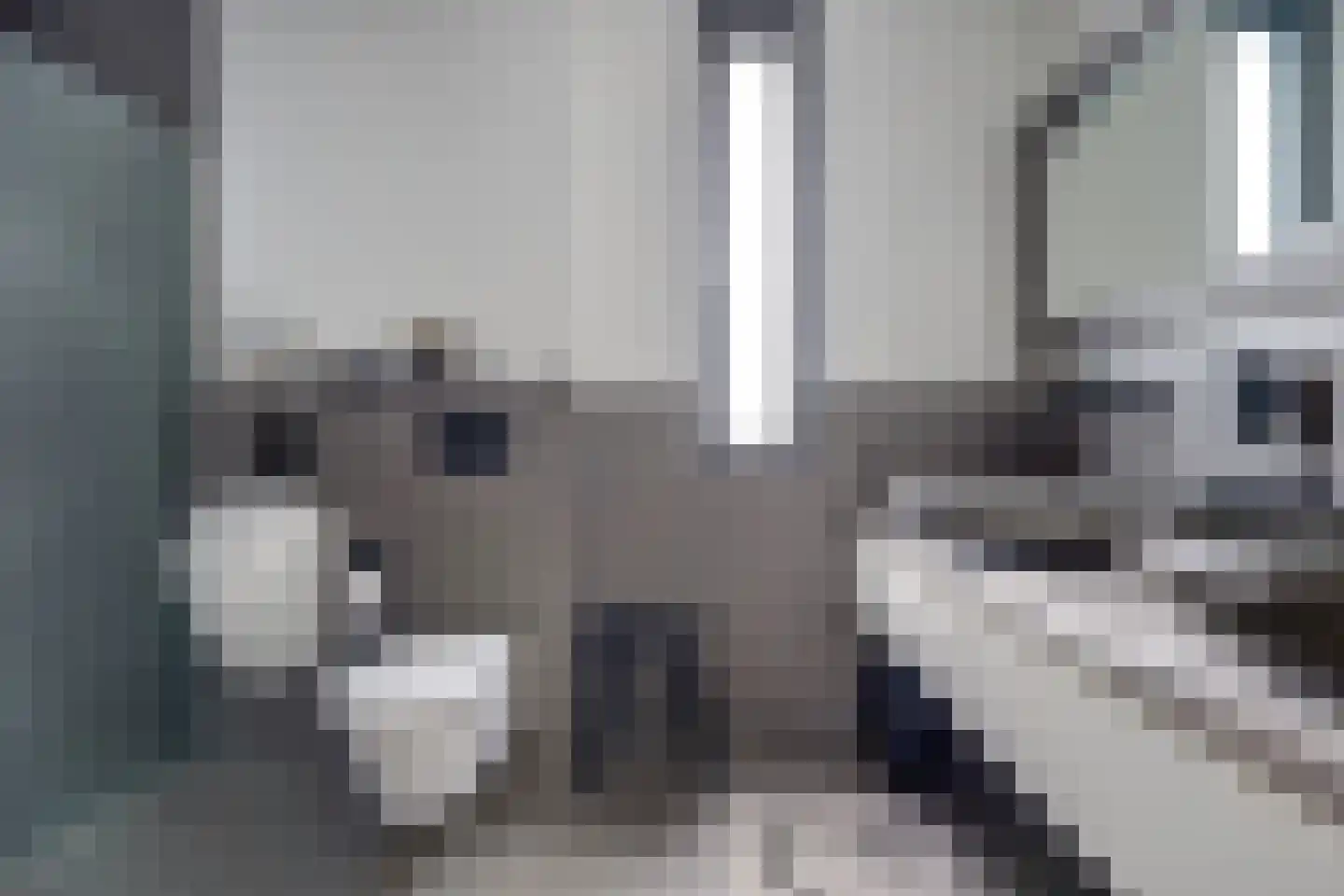 Duinvallei 15 Kamperland thumbnail 20