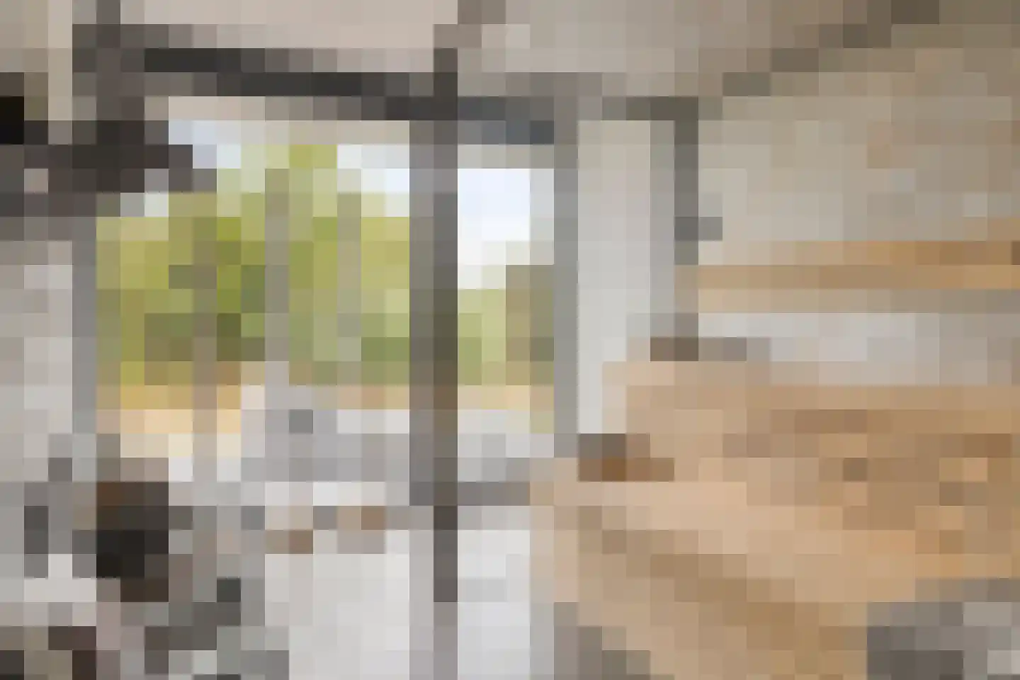 Duinvallei 15 Kamperland thumbnail 21