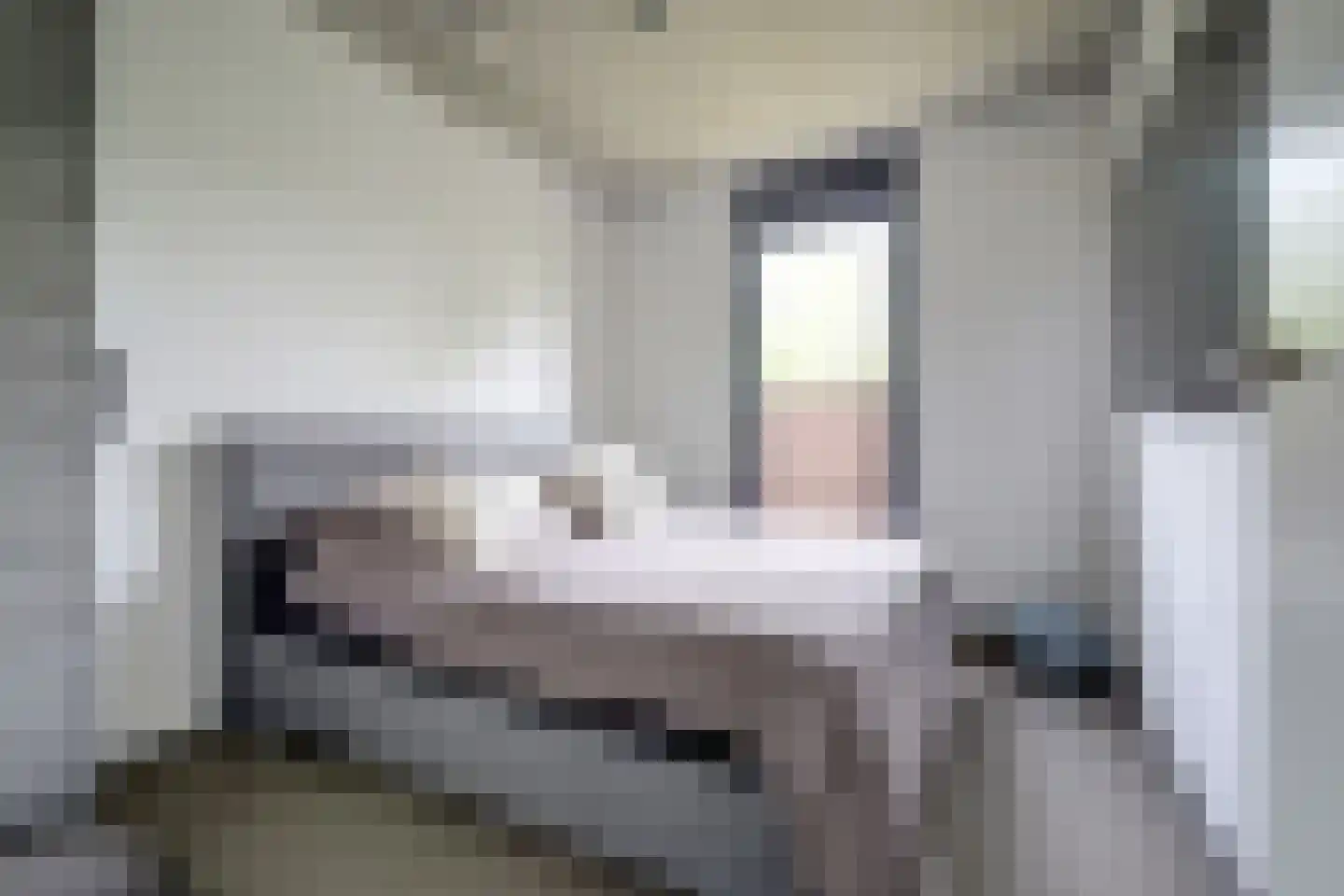 Duinvallei 15 Kamperland thumbnail 22