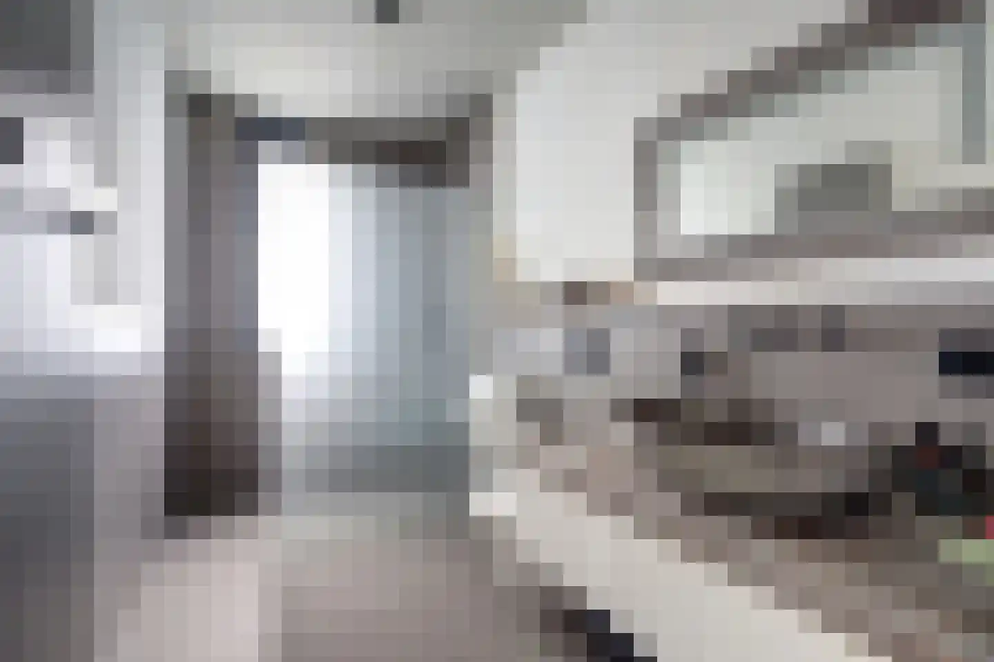 Duinvallei 15 Kamperland thumbnail 24