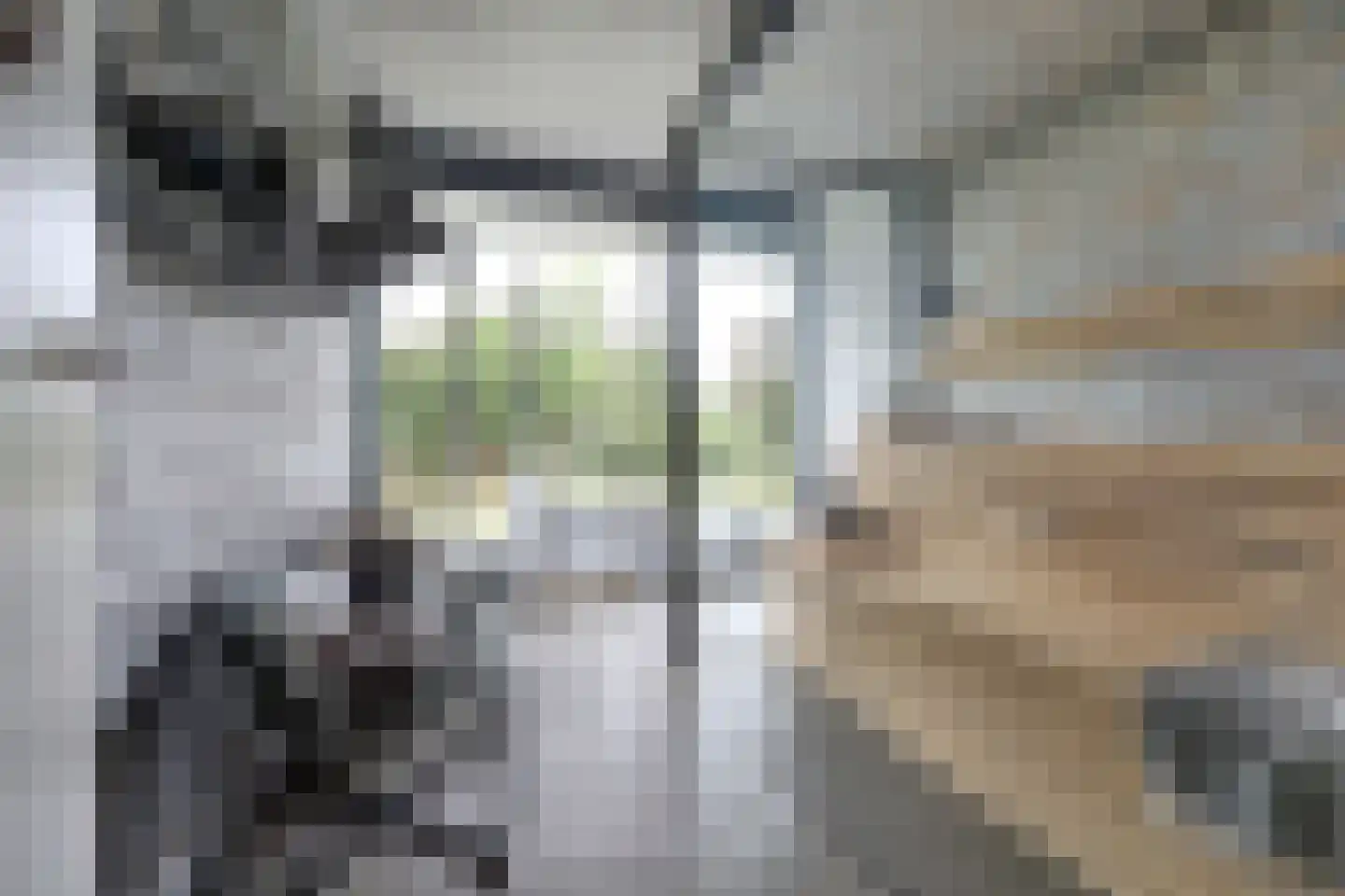Duinvallei 15 Kamperland thumbnail 26