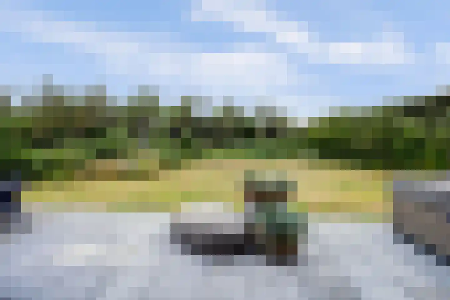 Duinvallei 15 Kamperland thumbnail 30