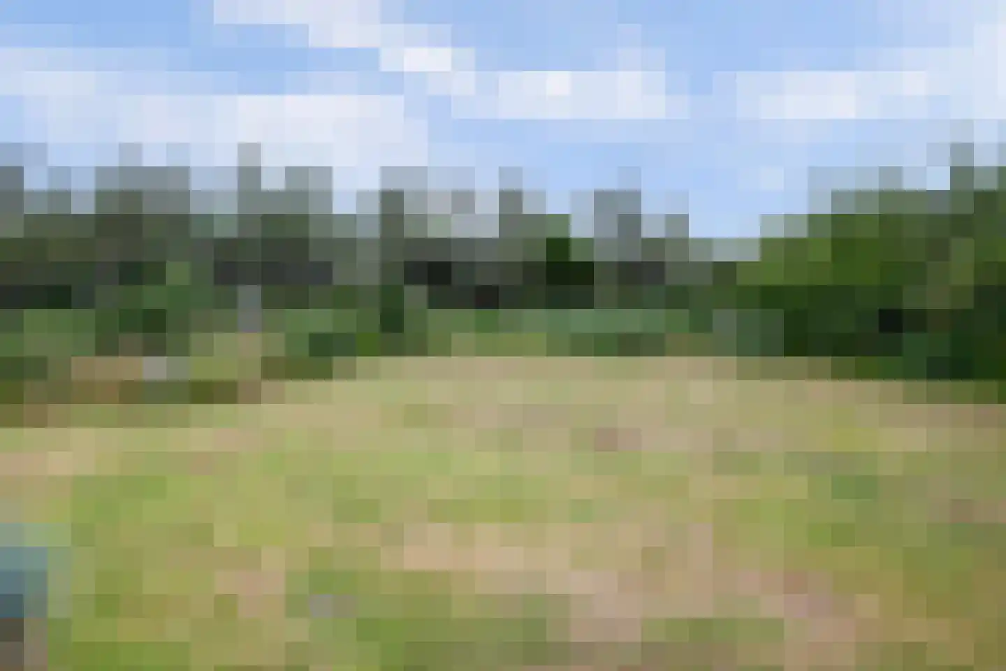 Duinvallei 15 Kamperland thumbnail 31