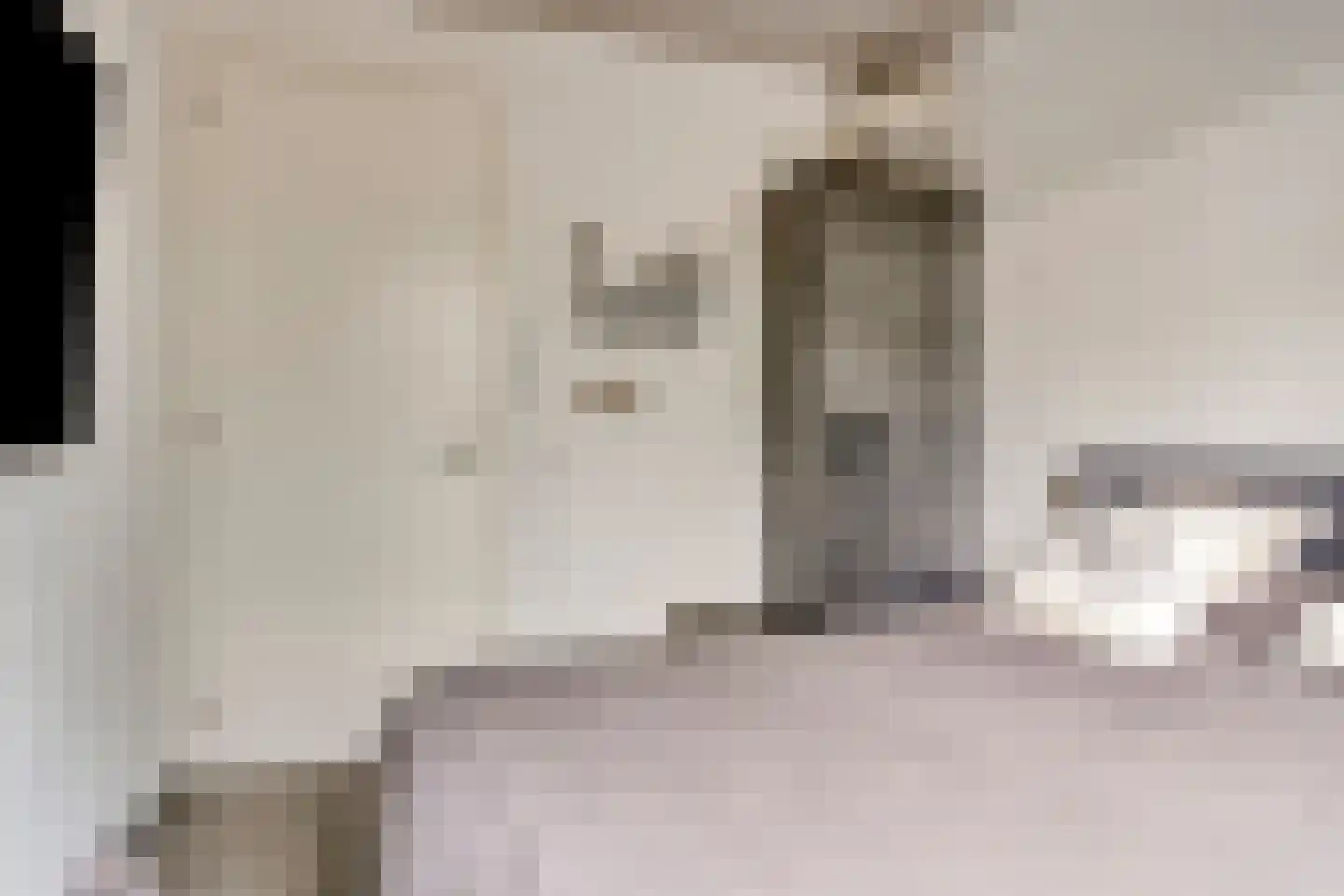 Duinvallei 15 Kamperland thumbnail 31