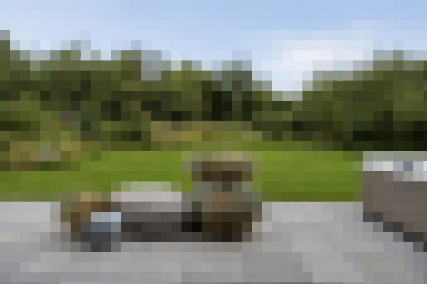 Duinvallei 15 Kamperland thumbnail 34