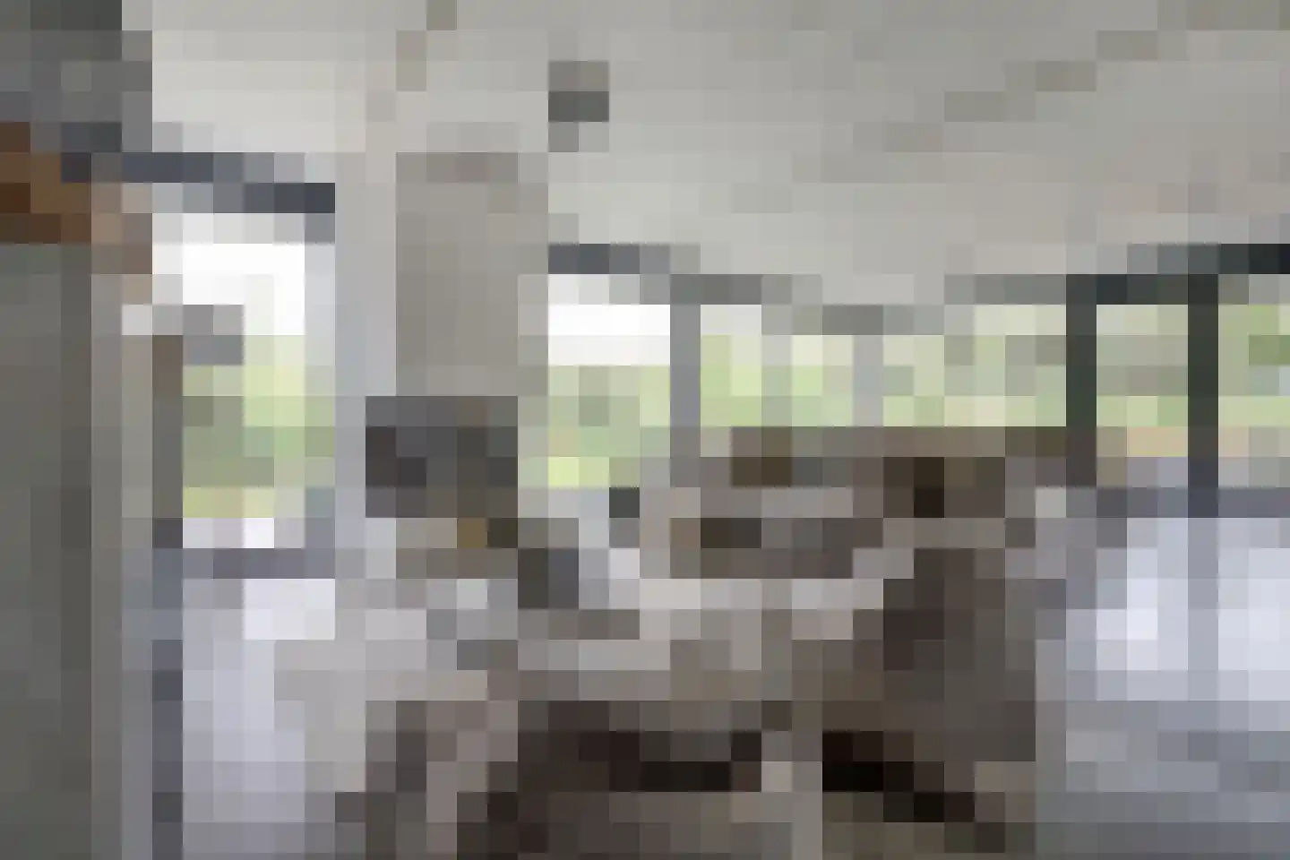 Duinvallei 15 Kamperland thumbnail 8