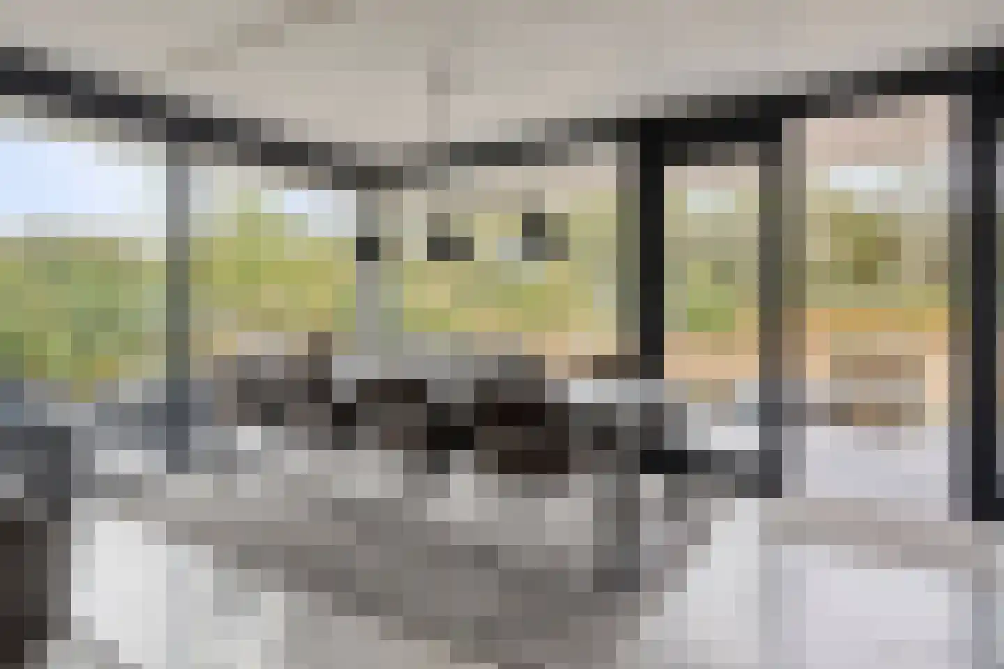Duinvallei 15 Kamperland thumbnail 8