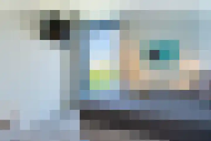 Duinvallei 16 Kamperland thumbnail 10