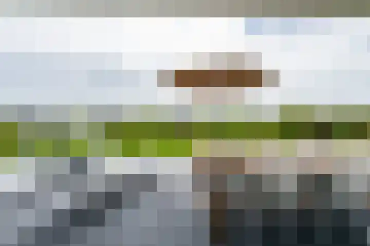Duinvallei 16 Kamperland thumbnail 15