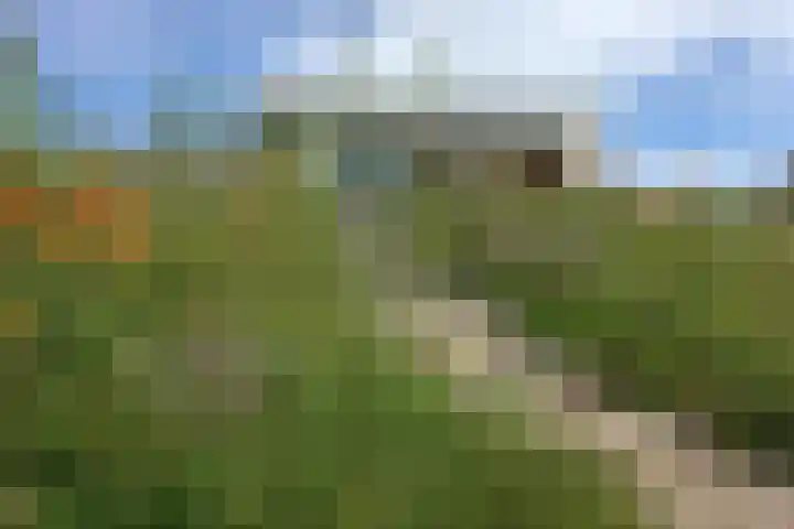 Duinvallei 16 Kamperland thumbnail 17