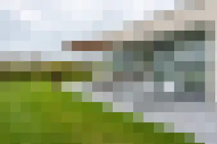 Duinvallei 16 Kamperland thumbnail 18