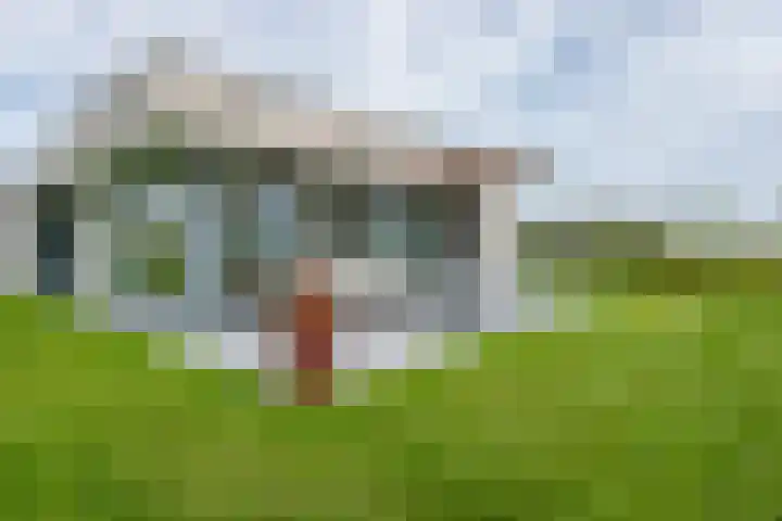Duinvallei 16 Kamperland thumbnail 19