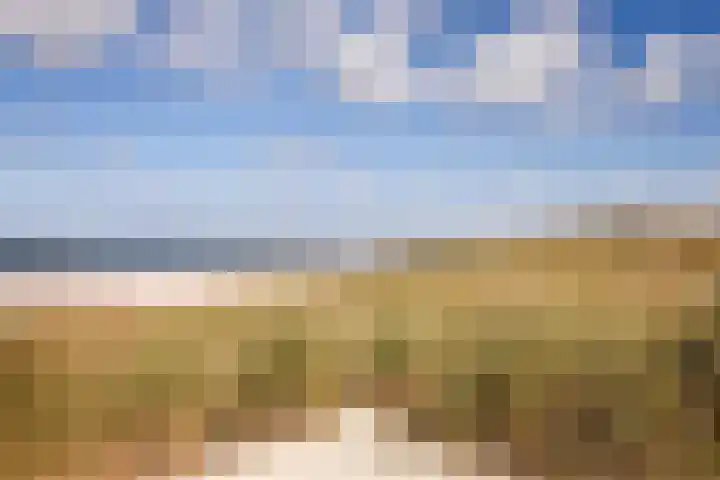 Duinvallei 16 Kamperland thumbnail 21