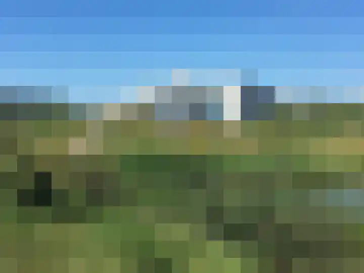 Duinvallei 16 Kamperland thumbnail 25