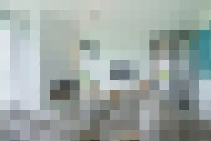 Duinvallei 16 Kamperland thumbnail 5