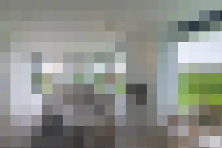 Duinvallei 16 Kamperland thumbnail 6