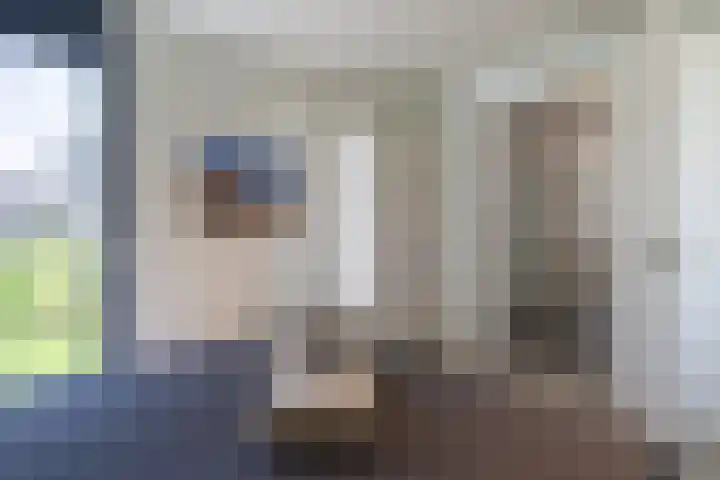 Duinvallei 16 Kamperland thumbnail 8