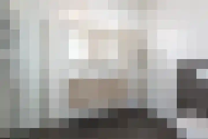 Duinvallei 16 Kamperland thumbnail 9