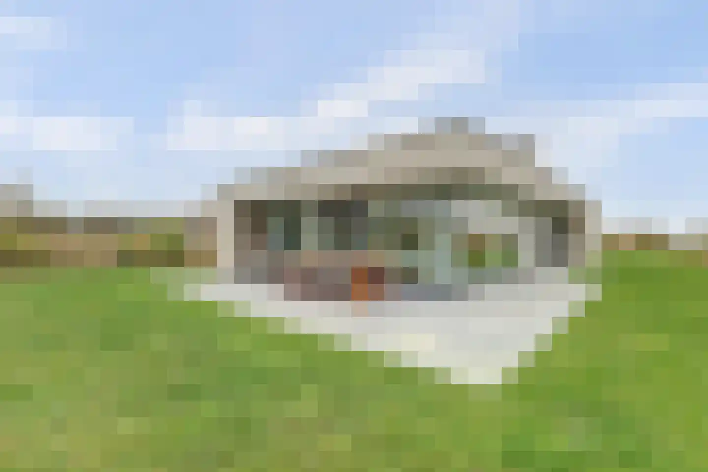 Duinvallei 17 Kamperland thumbnail 30
