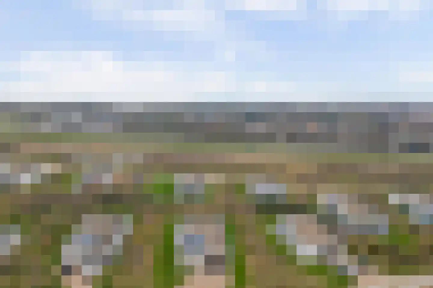 Duinvallei 17 Kamperland thumbnail 32