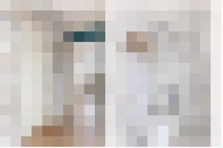 Duinvallei 3 Monster thumbnail 14