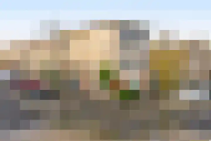Duinvallei 3 Monster thumbnail 26