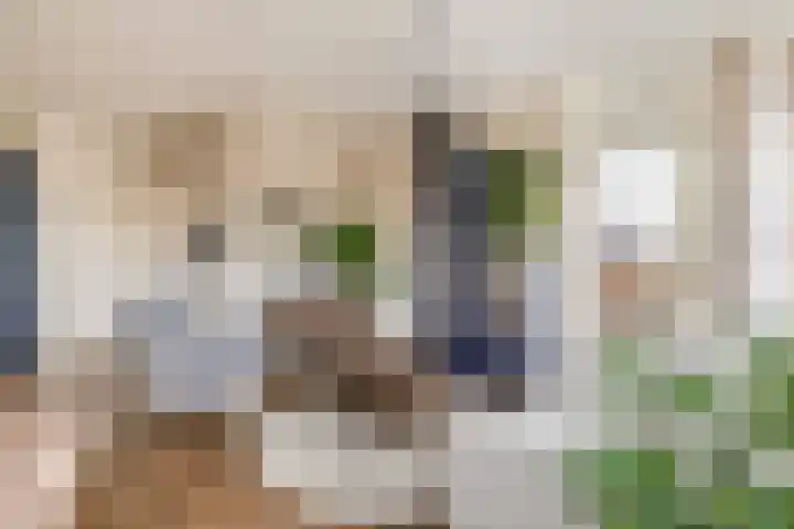 Duinvallei 3 Monster thumbnail 7