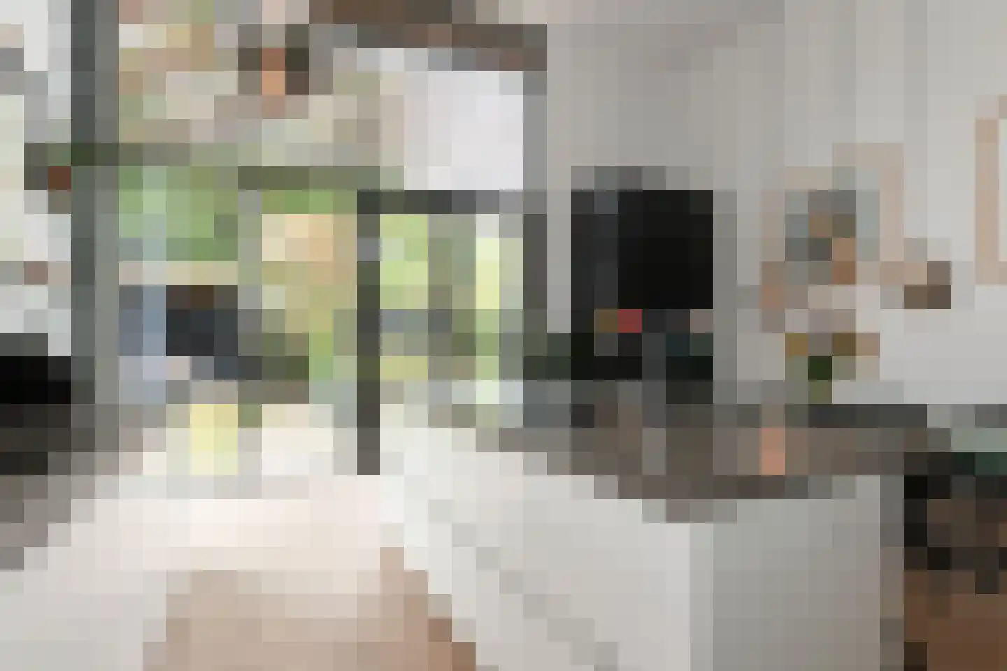 Duinvallei 37 Den Haag thumbnail 23