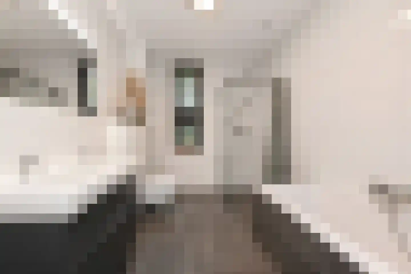 Duinvallei 37 Den Haag thumbnail 45