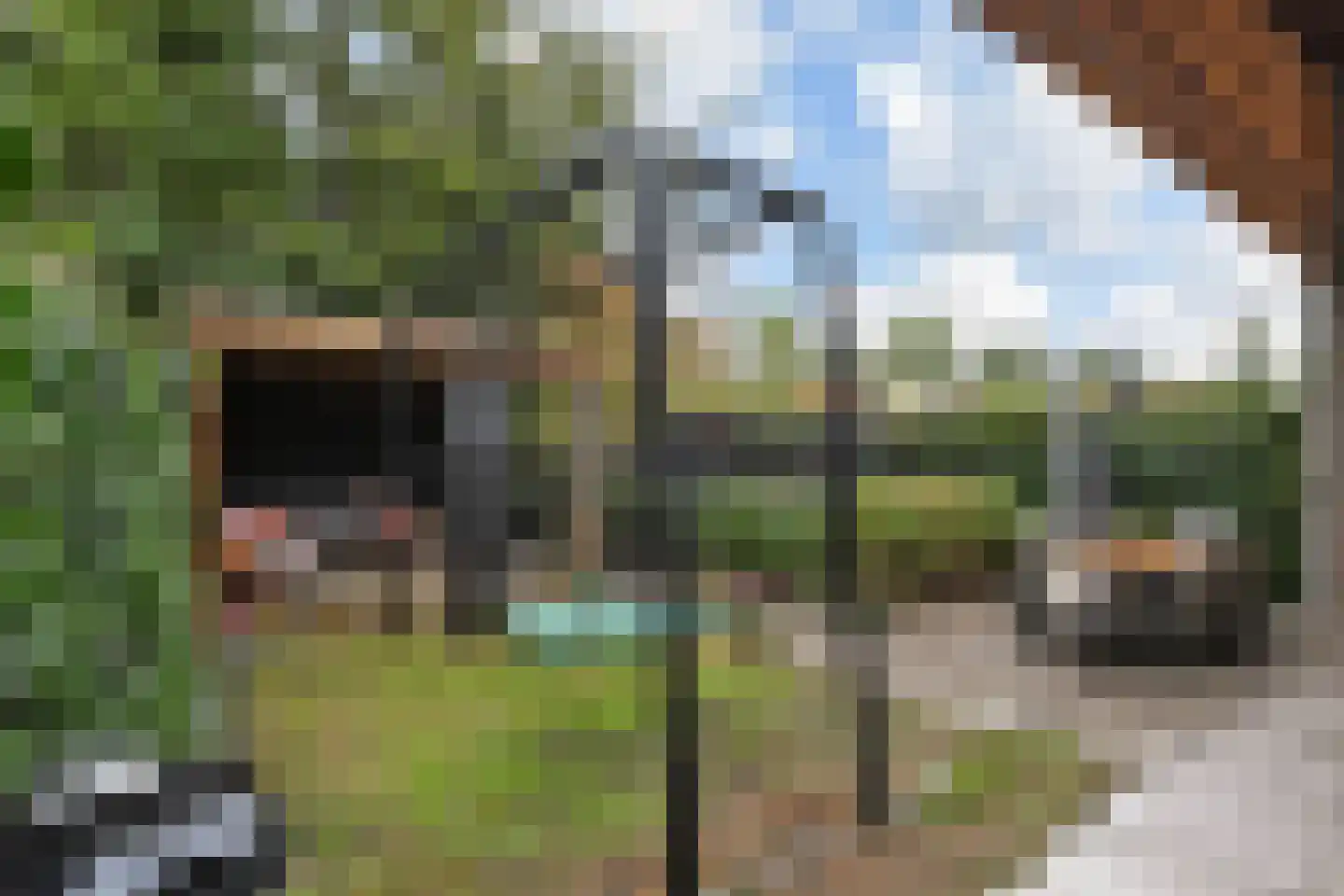 Duinvallei 37 Den Haag thumbnail 50