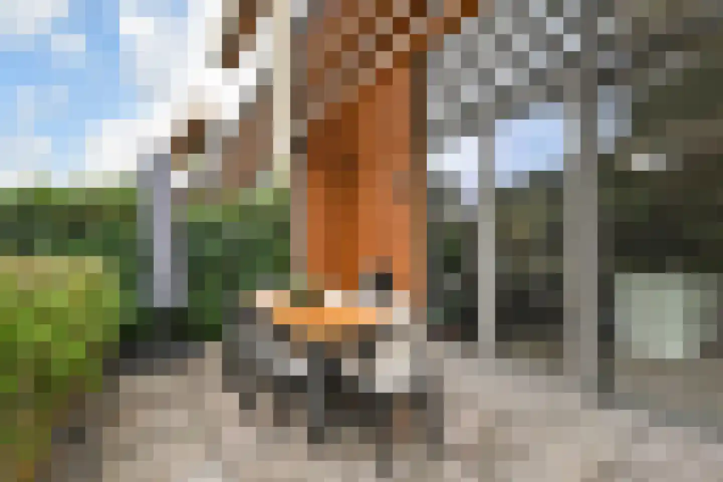 Duinvallei 37 Den Haag thumbnail 54