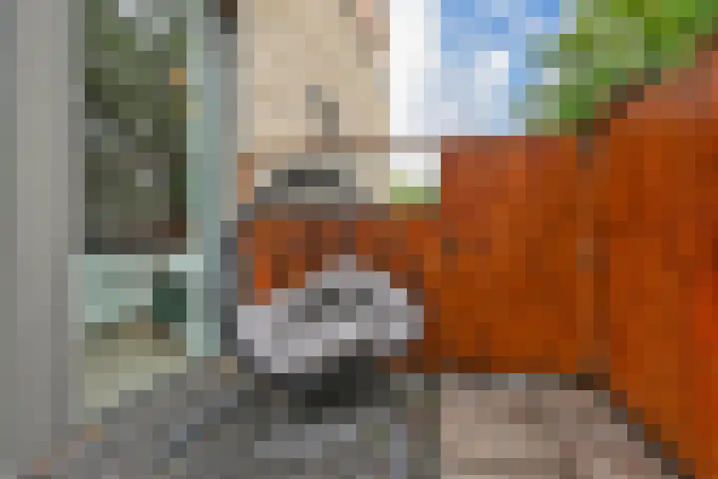 Duinvallei 37 Den Haag thumbnail 55
