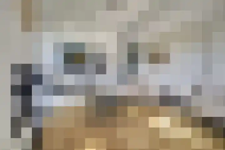 Duinvallei 37 Kamperland thumbnail 12