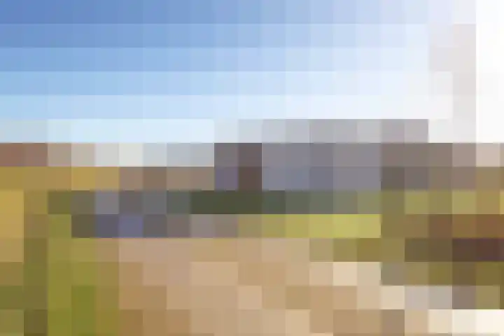 Duinvallei 37 Kamperland thumbnail 4