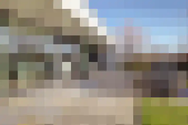 Duinvallei 37 Kamperland thumbnail 42